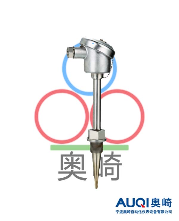 核電專用小惰性熱電阻